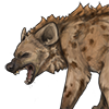 Grumpy Hyena